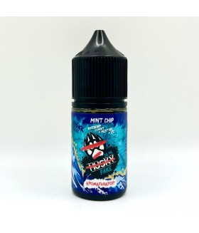 Конструктор Husky Fake 30ml